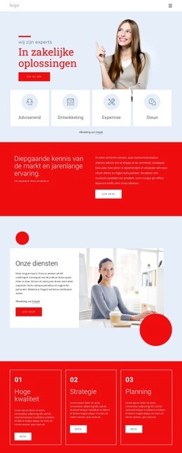 Wij Zijn Experts In Zakelijke Oplossingen - Websitesjablonen