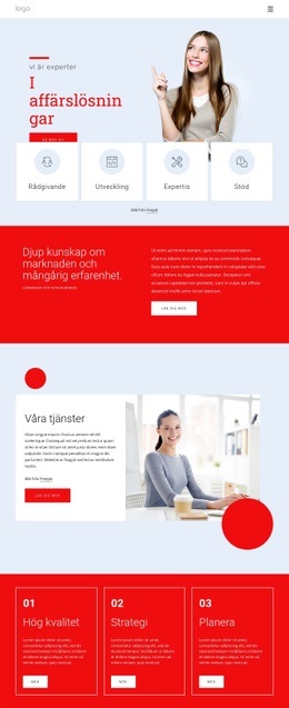 Vi Är Experter På Affärslösningar - HTML- Och CSS-Mall