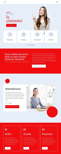 İş Çözümlerinde Uzmanız - WordPress Teması