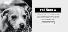 Výcvik Psí Školy – Vlastní Motiv WordPress