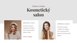 Dopřejte Si Nový Vzhled – Profesionální Téma WordPress