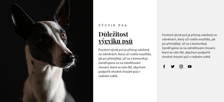 Útulek pro postižená zvířata Téma WordPress