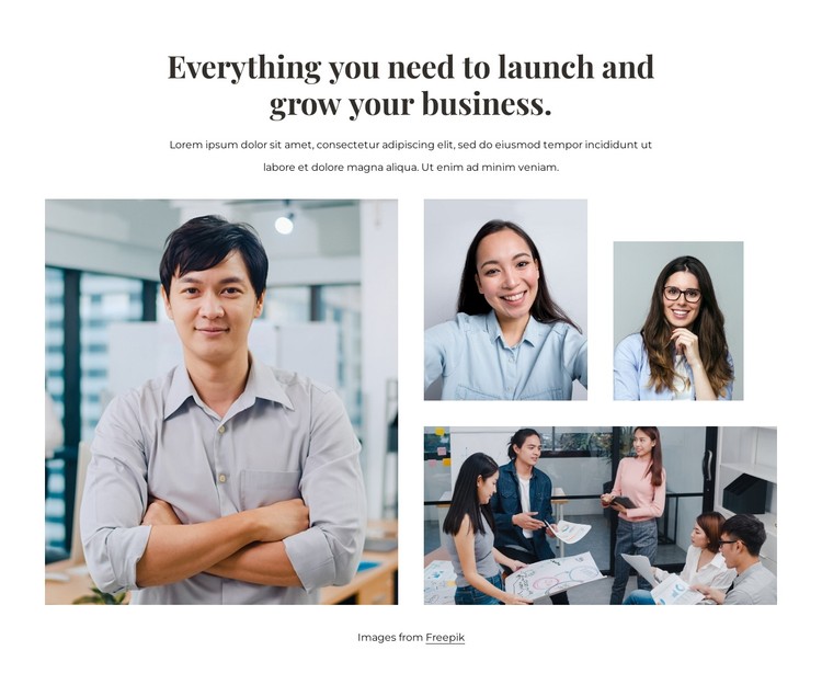 Grow your business CSS Template