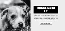 Vorlagendemo Für Hundeschulausbildung