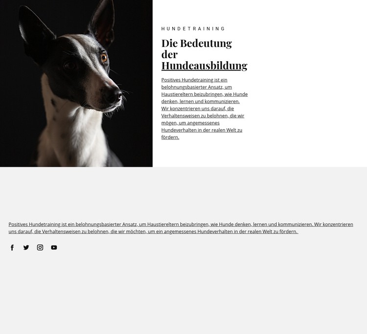 Schutz für betroffene Tiere CSS-Vorlage