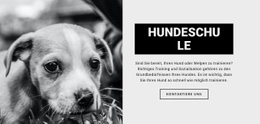 Hundeschulausbildung - Kreative Mehrzweckvorlage Für Eine Seite