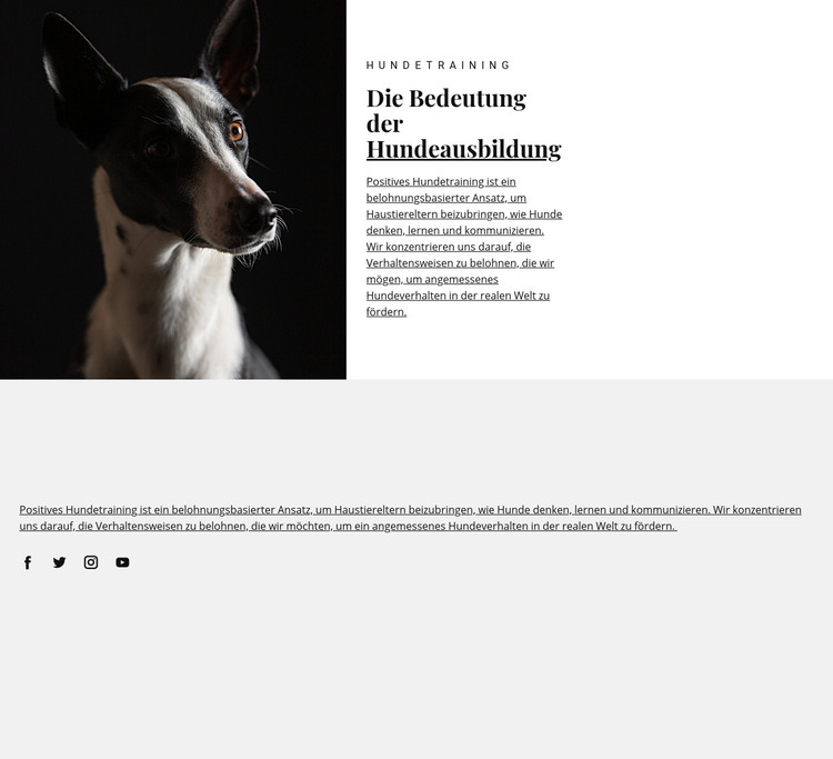 Schutz für betroffene Tiere HTML-Vorlage