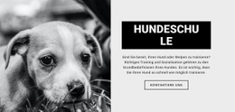 Hundeschulausbildung - HTML5 Website Builder