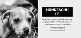 Kostenloses CSS Für Hundeschulausbildung