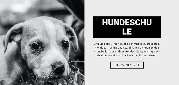 Hundeschulausbildung Website Builder-Vorlagen