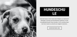 Hundeschulausbildung