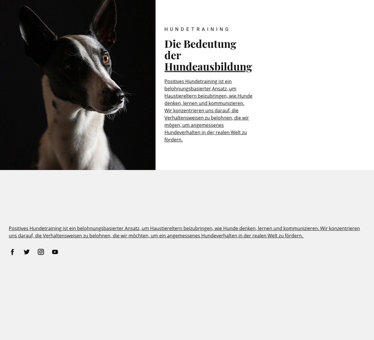 Schutz für betroffene Tiere Website-Modell