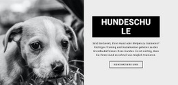 Mehrzweck-Landingpage Für Hundeschulausbildung