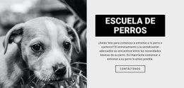 Entrenamiento De La Escuela De Perros - Creador De Sitios Web Adaptables