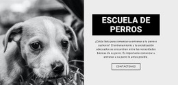 Entrenamiento De La Escuela De Perros - HTML5 Website Builder