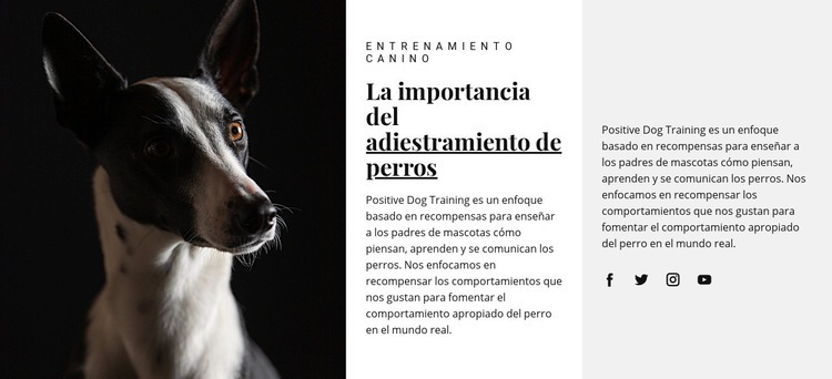 Refugio para animales afectados Creador de sitios web HTML