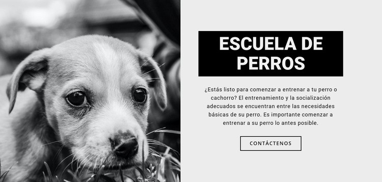 Entrenamiento de la escuela de perros Plantillas de creación de sitios web