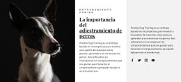 Refugio Para Animales Afectados - Diseño Creativo De Sitios Multipropósito