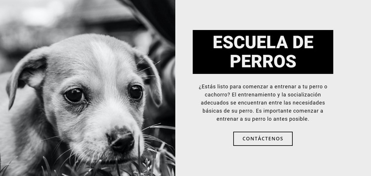 Entrenamiento de la escuela de perros Maqueta de sitio web