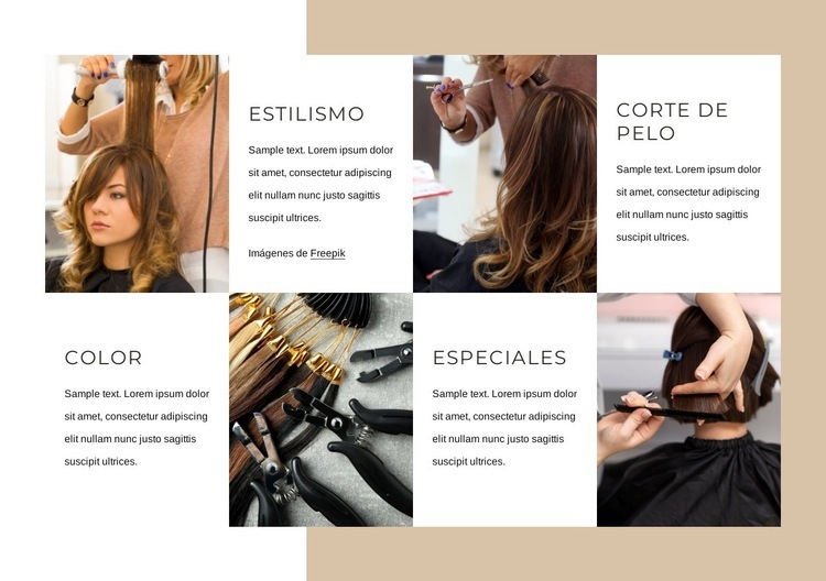 Servicios de peluquería Maqueta de sitio web