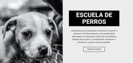 Página De Destino Multipropósito Para Entrenamiento De La Escuela De Perros