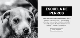 Demostración De Plantilla Para Entrenamiento De La Escuela De Perros