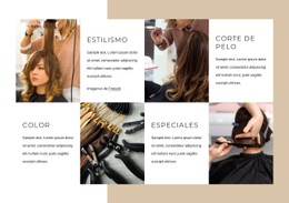 Servicios De Peluquería Plantilla De Sitio Web CSS Gratuita