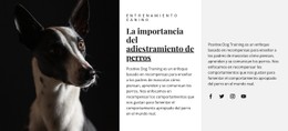 Página Web De Refugio Para Animales Afectados