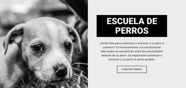 Entrenamiento de la escuela de perros Plantilla de una página