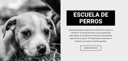 Entrenamiento De La Escuela De Perros - Tema Personalizado De WordPress