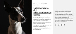 Refugio Para Animales Afectados - Inspiración Del Tema De WordPress