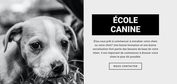 Formation en école canine Modèles de constructeur de sites Web