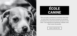 Formation En École Canine - HTML5 Website Builder