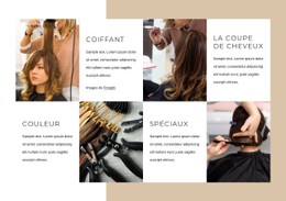 Prestations Salon De Coiffure Modèle De Site Web CSS Gratuit