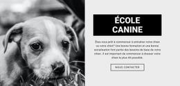 Formation En École Canine : Modèle Créatif Polyvalent D'Une Page