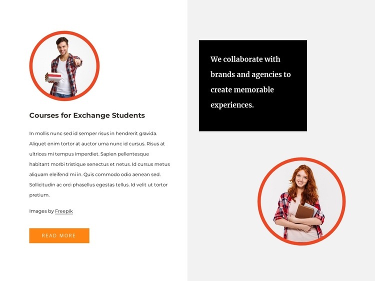 Courses for exchange students Homepage Design