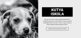 Kutyaiskolai Képzés – Egyéni WordPress-Téma