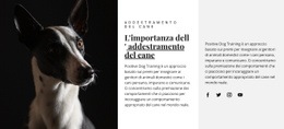 Rifugio Per Animali Colpiti - Generatore Di Siti Web Reattivi