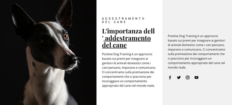 Rifugio per animali colpiti Mockup del sito web