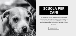 CSS Gratuito Per Addestramento Scolastico Per Cani