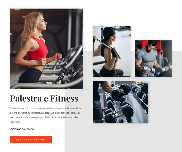 Allenamenti e attrezzature Modello CSS