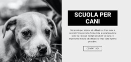 Addestramento Scolastico Per Cani - Modello Creativo Multiuso Di Una Pagina