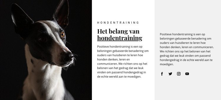 Opvang voor getroffen dieren HTML-sjabloon