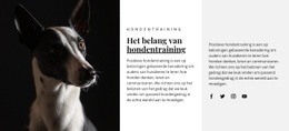 Opvang Voor Getroffen Dieren