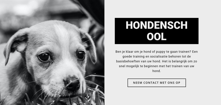 Hondenschool opleiding Website mockup