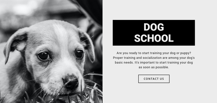 Dog school training One Page Template