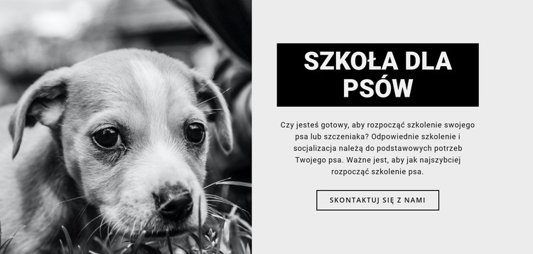 Szkolenie w szkole psów Projekt strony internetowej