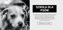 Najlepszy Szablon HTML5 Dla Szkolenie W Szkole Psów