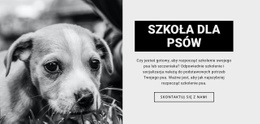 Szkolenie W Szkole Psów - Kreatywny, Uniwersalny Szablon Jednostronicowy