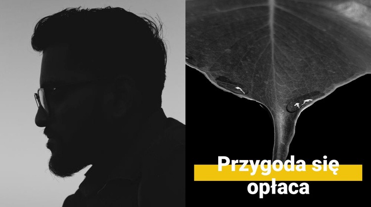 Ciekawe przygody Szablon jednej strony